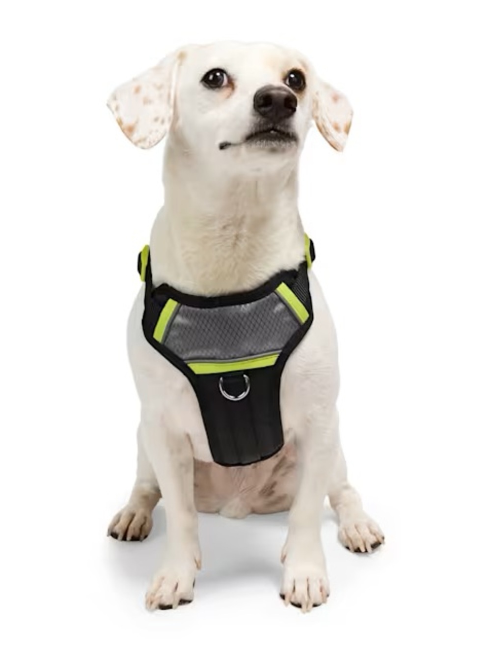 YOULY Adventure Reflective Dog Harness, Black,